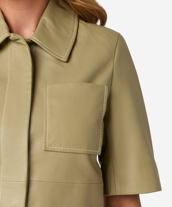 IBANA - BLOES - TREABHAR - ELM GREEN