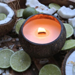 NOYA - COCONUT CANDLE – SCENT: LIME-COCONUT